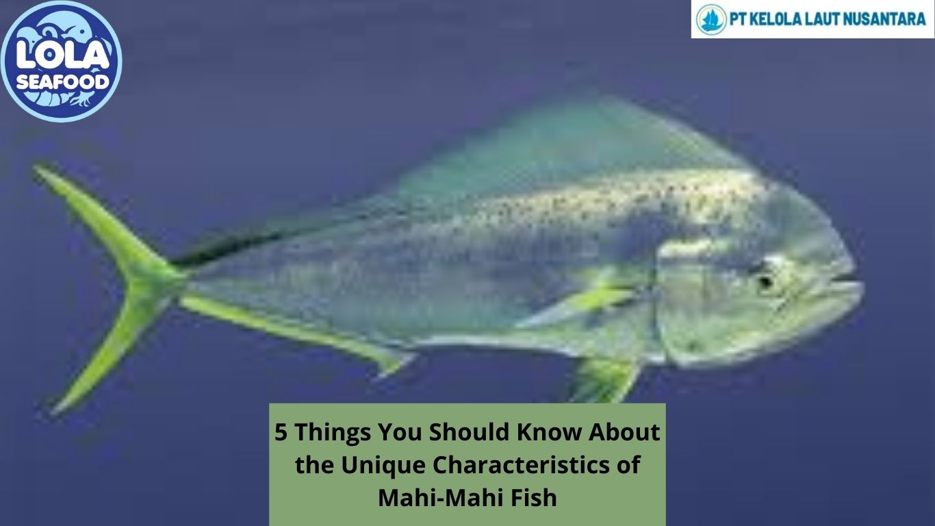 5 Things You Should Know About the Unique Characteristics of Mahi-Mahi Fish